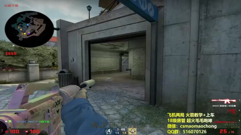 CSgO (246)