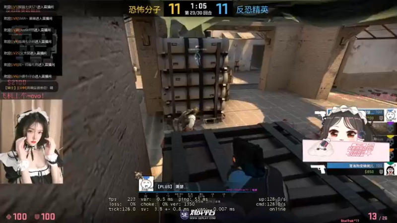CSgO (82)