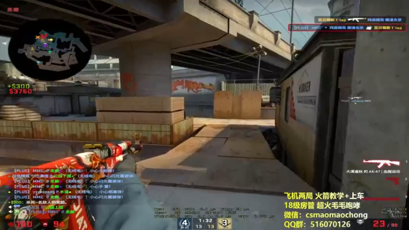 CSgO (252)
