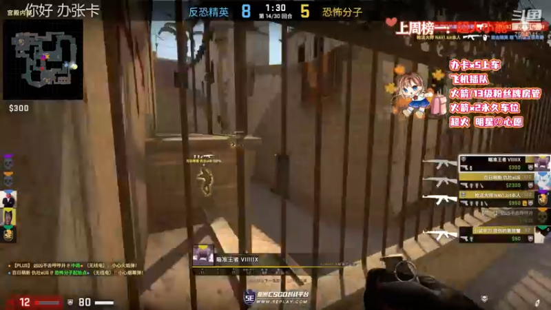 CSgO (193)