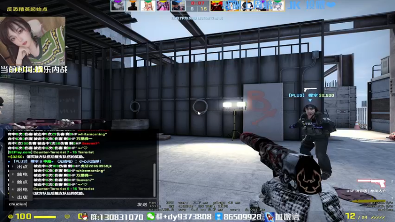CSgO (114)