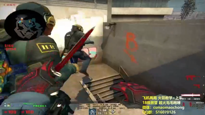 CSgO (240)