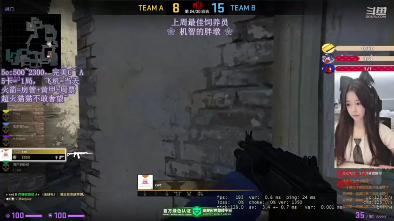 CSgO (235)