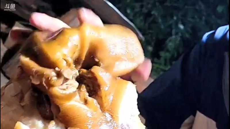 【2021-10-07 20点场】主播阿郎：挑战荒野独居30天(赶集)