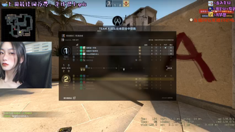 CSgO (61)