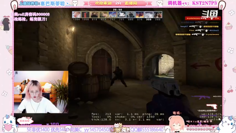 CSgO (195)