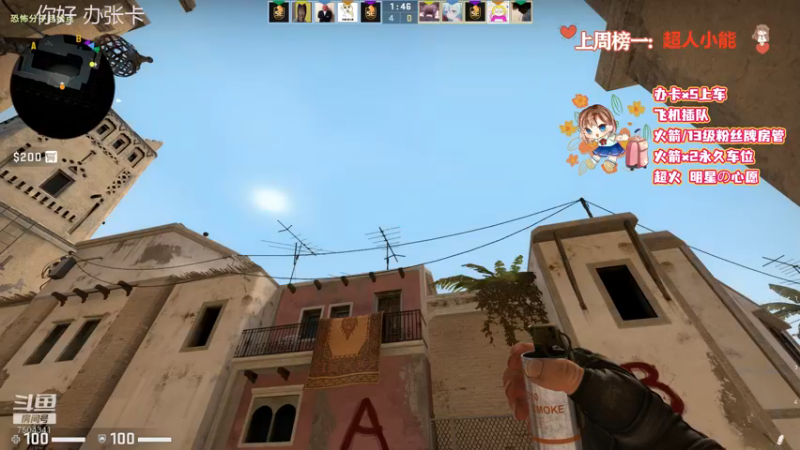CSgO (245)