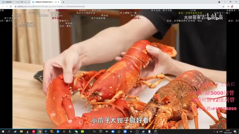 【2021-10-04 23点场】子廉廉廉廉廉：电竞之悲斗鱼子廉