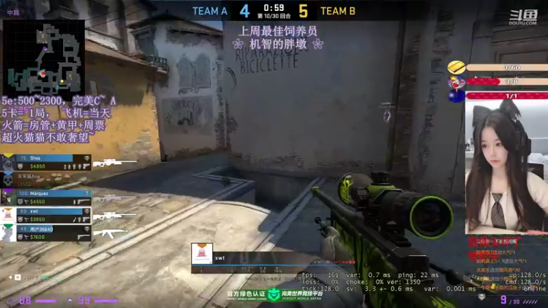 CSgO (305)