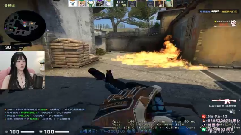 CSgO (102)
