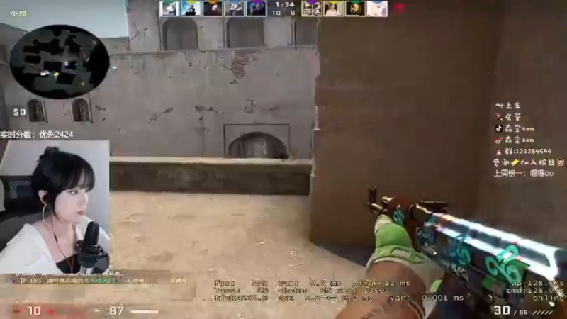 CSgO (306)