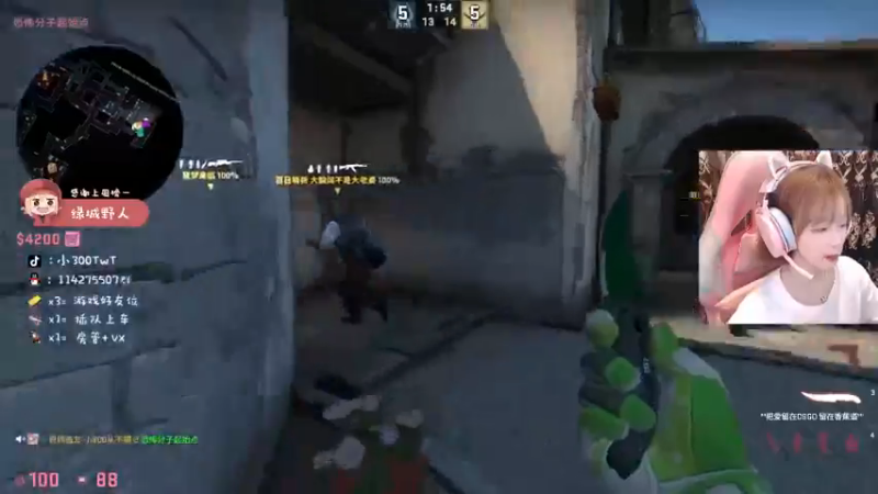 CSgO (77)
