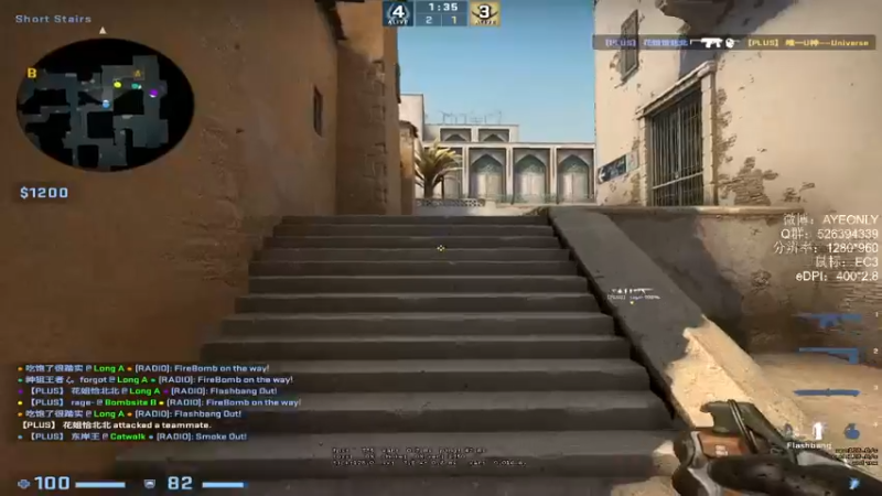 CSgO (36)