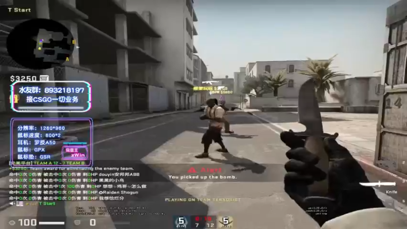 CSgO (369)