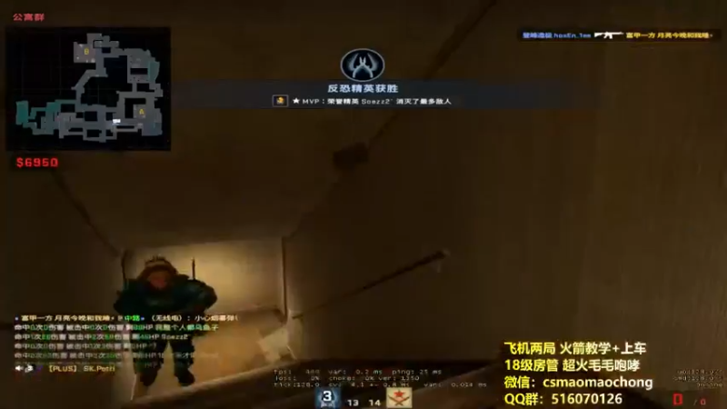 CSgO (380)