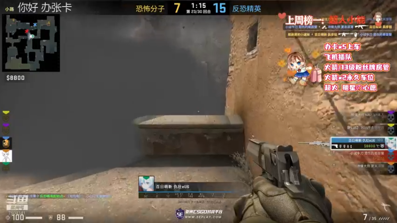 CSgO (296)