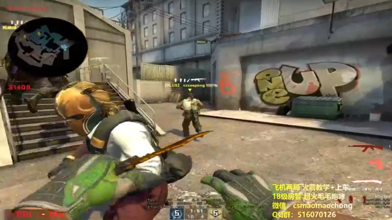 CSgO (321)