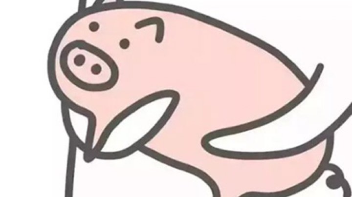冲冲冲vvv