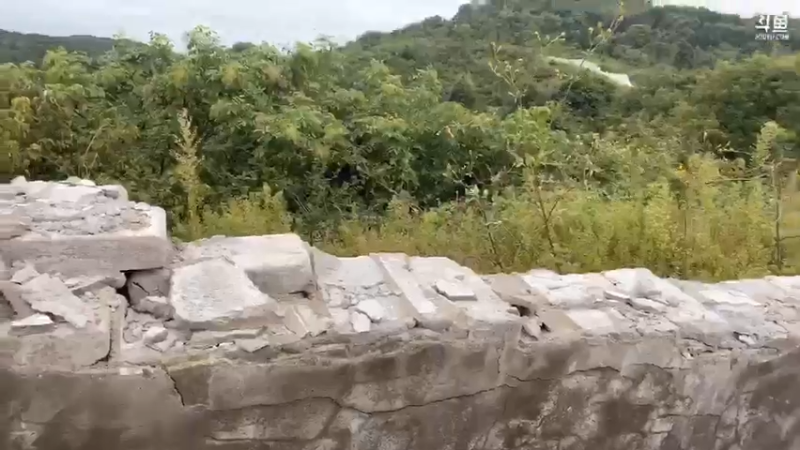 【2021-10-08 09点场】魅力生活i：王炸组合弄土蜂