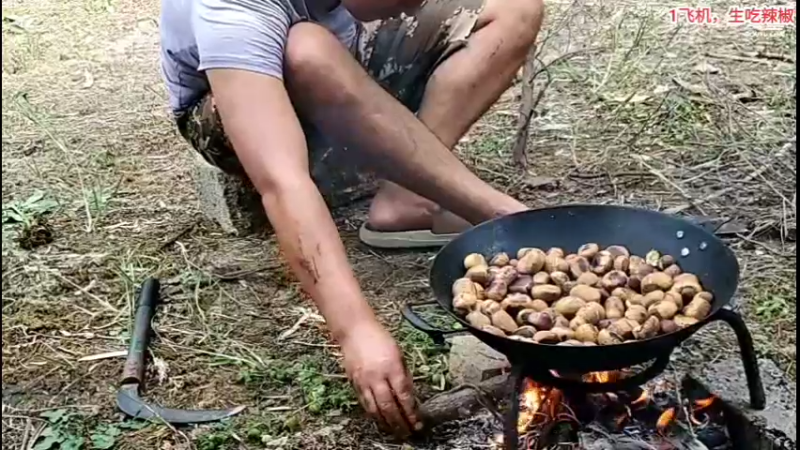 【2021-10-03 14点场】3人行必有我食：荒村无人问津