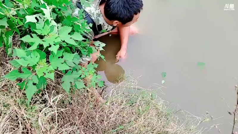 【2021-10-08 15点场】洪湖小肖：出发 打野生涯开始  447507