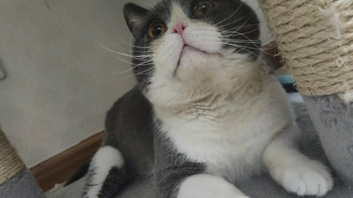 录像