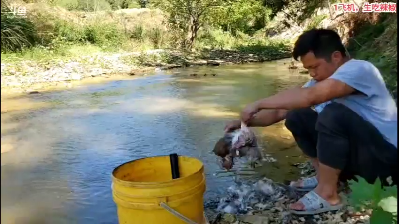 【2021-10-04 12点场】3人行必有我食：荒村无人问津