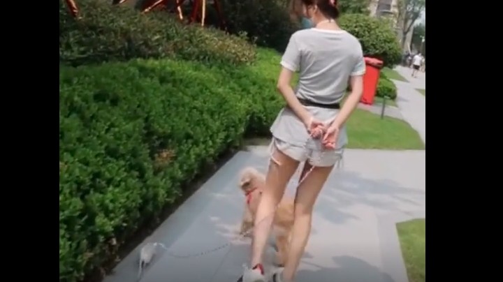 出门散散步，小老鼠这是发现了什么？
