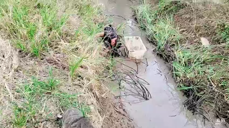 【2021-10-08 13点场】洪湖小肖：期待出大货  干干干447507