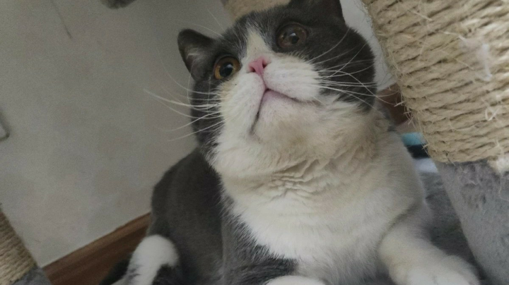 录像