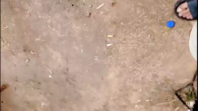 【2021-10-08 13点场】主播阿郎：挑战荒野独居30天(赶集)