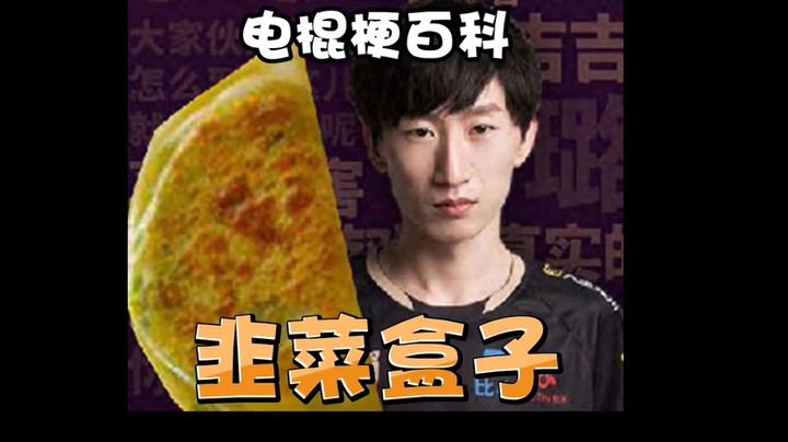 本来饱饱的，缺的营养谁给我补？电棍梗百科之韭菜盒子
