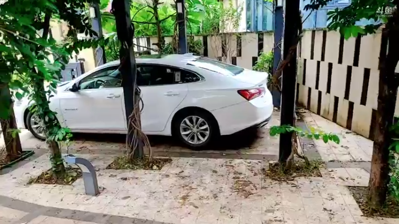 【2021-10-09 13点场】逐梦兄弟：接好久不见的她