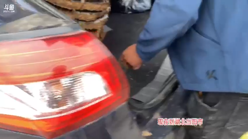 【2021-10-09 17点场】魅力生活i：在湖北弄土蜂