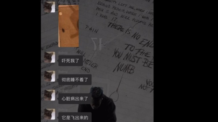 我说实话怕蟑螂的男人真差不多得了