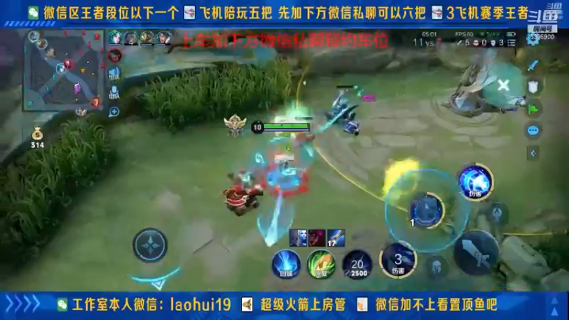 王者混剪 (466)