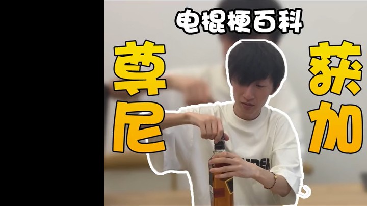 电棍梗百科之尊尼获加