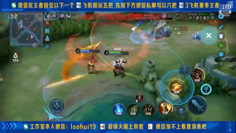 王者混剪 (318)