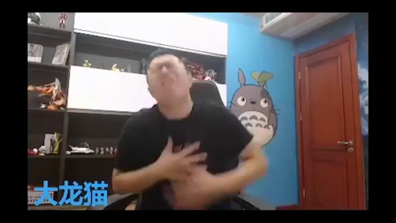 猫哥，摄人心魂啊