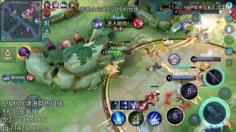 王者混剪 (450)