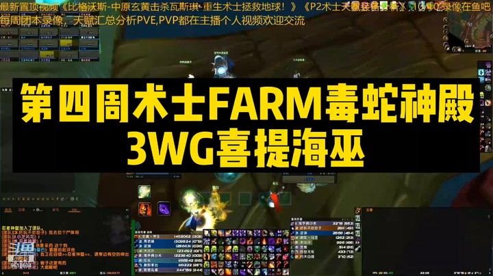 第四周术士FARM毒蛇神殿3WG喜提海巫