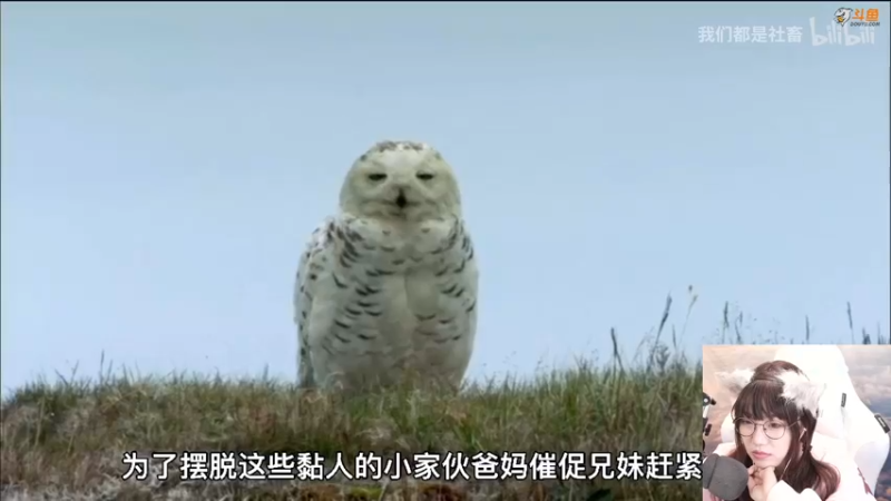 【2021-10-08 21点场】甜心战士：♡吃吃看看美滋滋♡