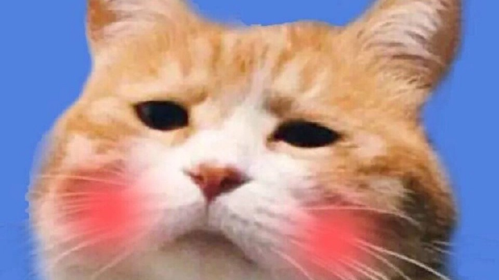 大吉大利