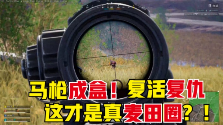  主播马枪落地成盒，复活后开始屠杀，征战麦田决赛圈