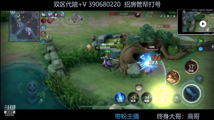 王者荣耀1571马克菠萝下
