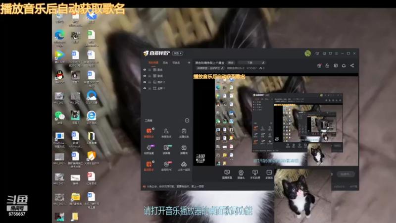 【2021-10-09 19点场】聪聪是黑粉头子：黑色玫瑰争取上个黄金