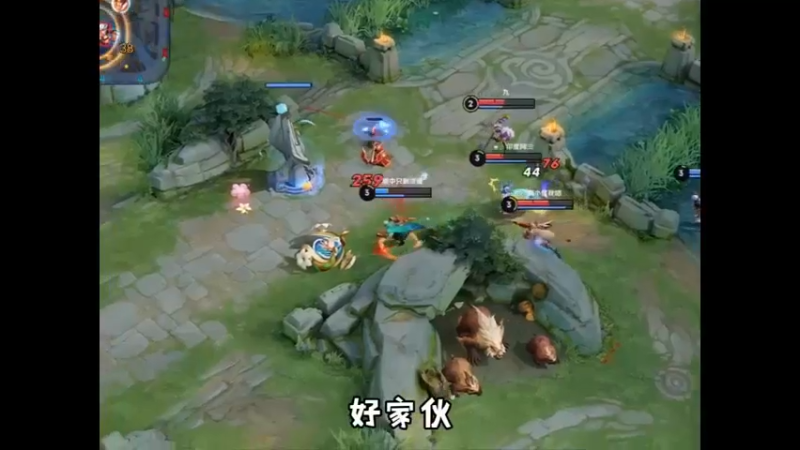 雅典娜24