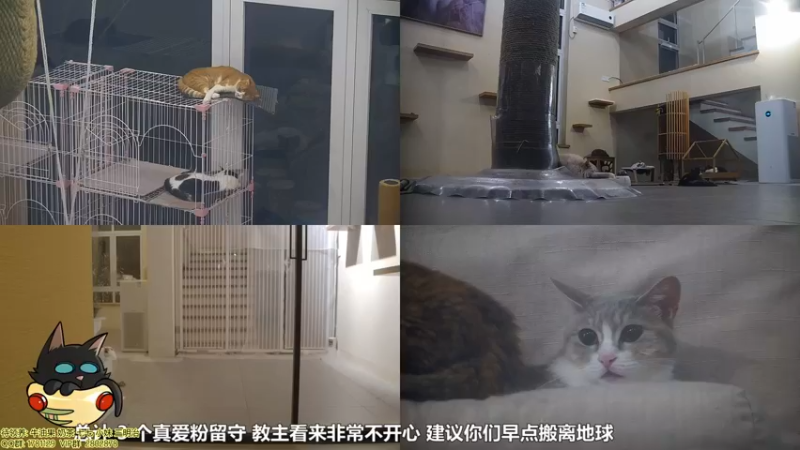 【2021-10-09 23点场】喵放送：喵放送☀️喵呜~