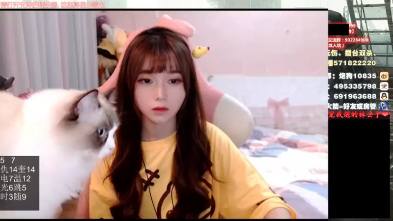 【2021-10-10 17点场】大枪炮狗：炮妹妹：hi~