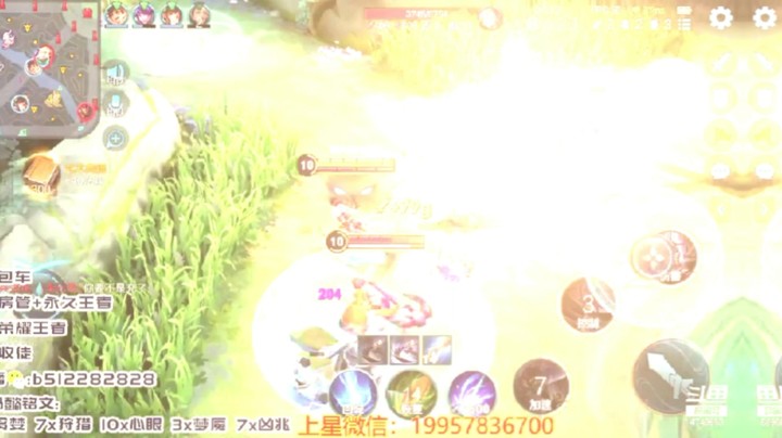 蓝羽带粉日常7